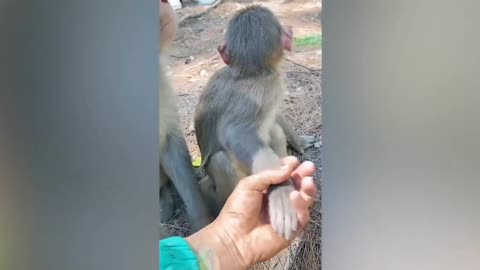 Funny video 🤣📸🤣