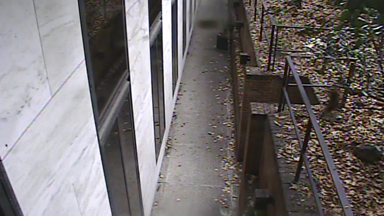 1457HSOB01GroundSoutheast_2021-01-06_13h03min54s337ms.mp4