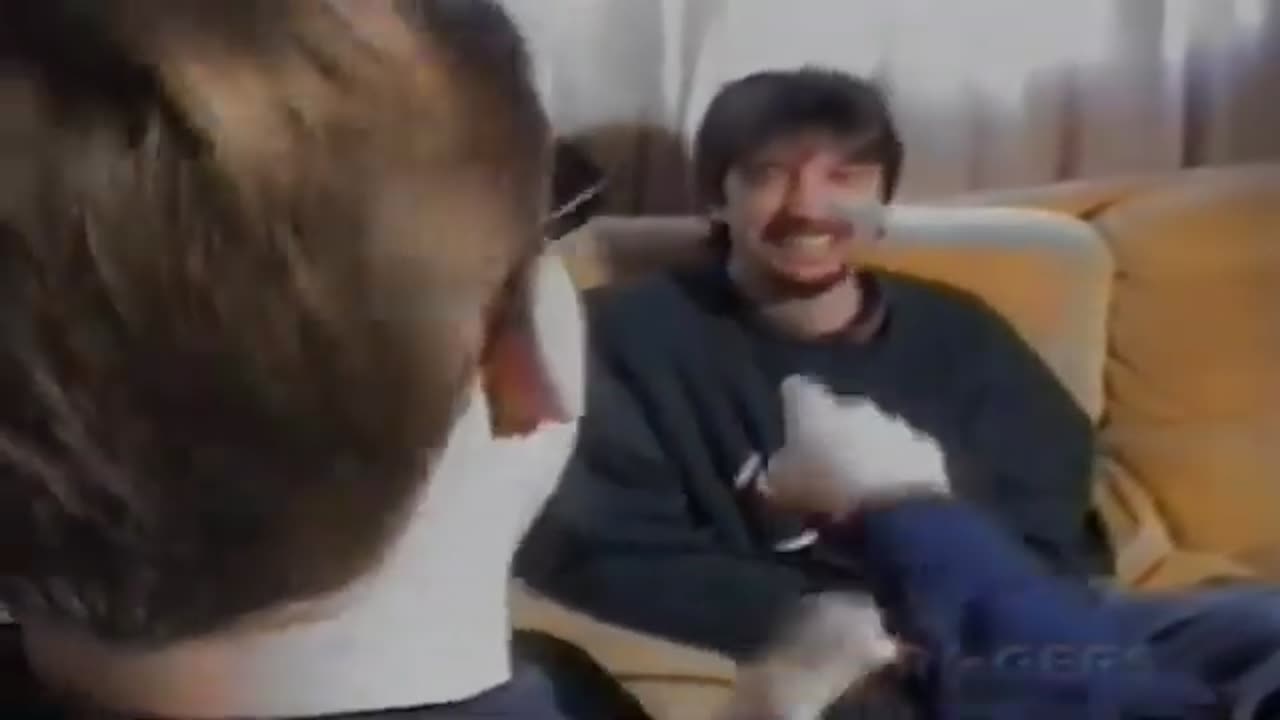 Tom Green Show: The guy who goes uhhh the movie!
