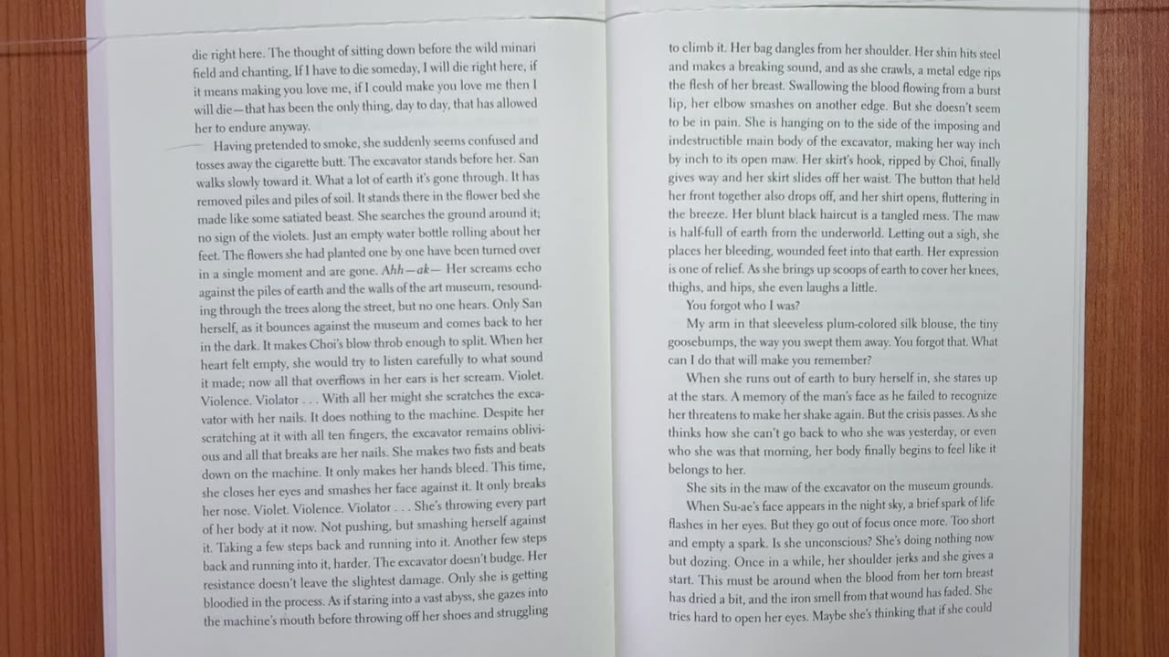 Violets (Korean Novel) 019 by Kyung-Sook Shin 2001 Audio/Video Book S019 The End