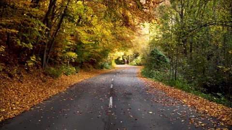 "Tranquil Serenity: A Guided Journey to Relaxation"