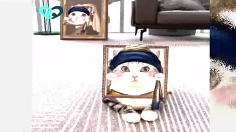 lovely cats | cat funny cats | Cute cat | Baby Cat | dancing cat | qureshi digital tv
