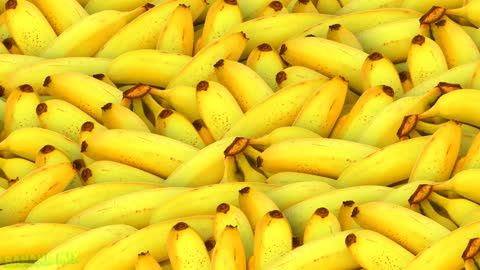 LIKE A BOSS COMPILATION😎🌎🍌COUB BEST🍉🍒🍓#2