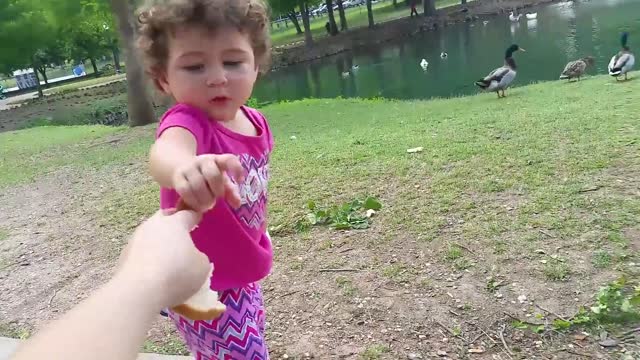 Try Not To Laugh vs Funny Babies and Animals