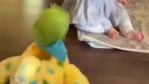 Cute chubby baby