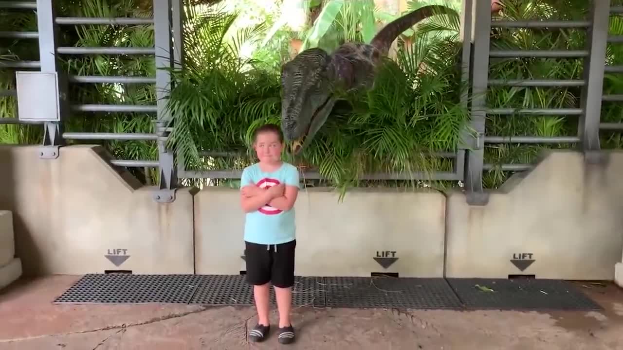 Trate de no reír: el bebé más divertido del zoológico | Reacción de animales divertidos