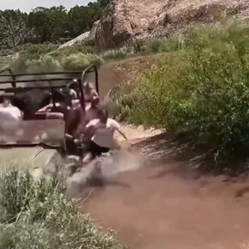 Such small accidents happen sometimes. 🤣