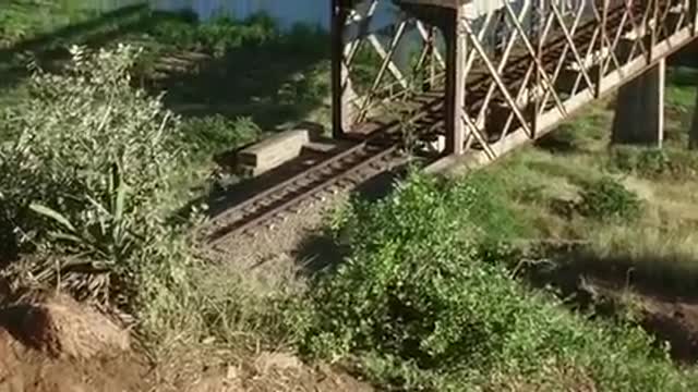 Leonardo Dicaprio best shot gun ever. Blood diamond movie scene