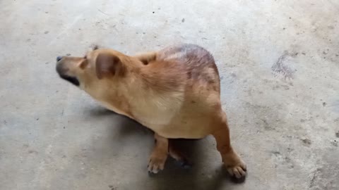 When I'm tired but I can't sleep