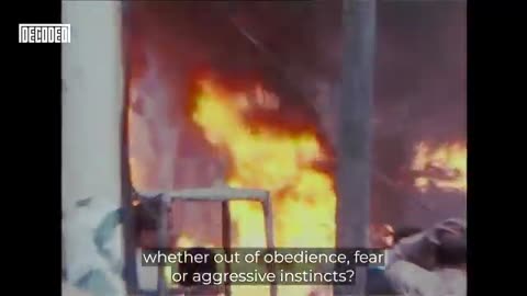 Are humans inherently violent? Decoded