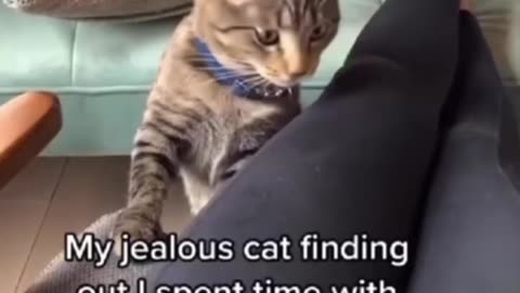 Mewing enough