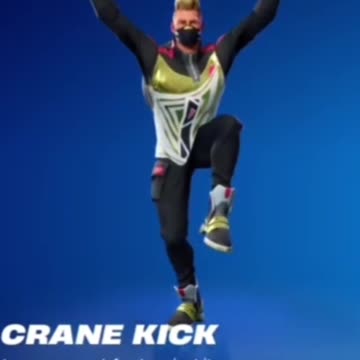 The Crane Kick: last seen… #fortnite #gaming #viralvideo #fortnitebattleroyale #shorts