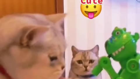 Cute!