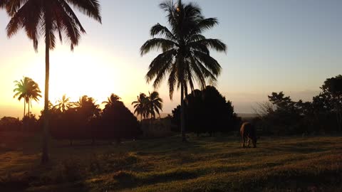 Good morning waiting to a beautiful sunrise