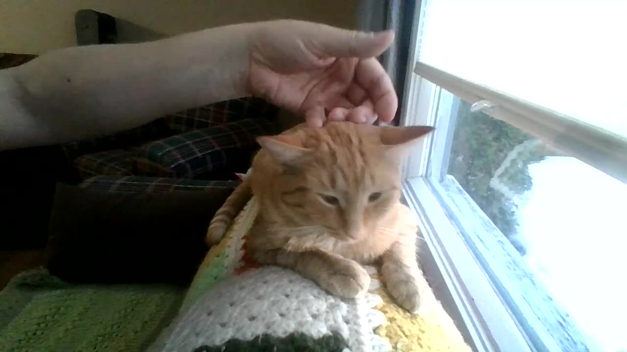 Bonkers at the spa pt.2