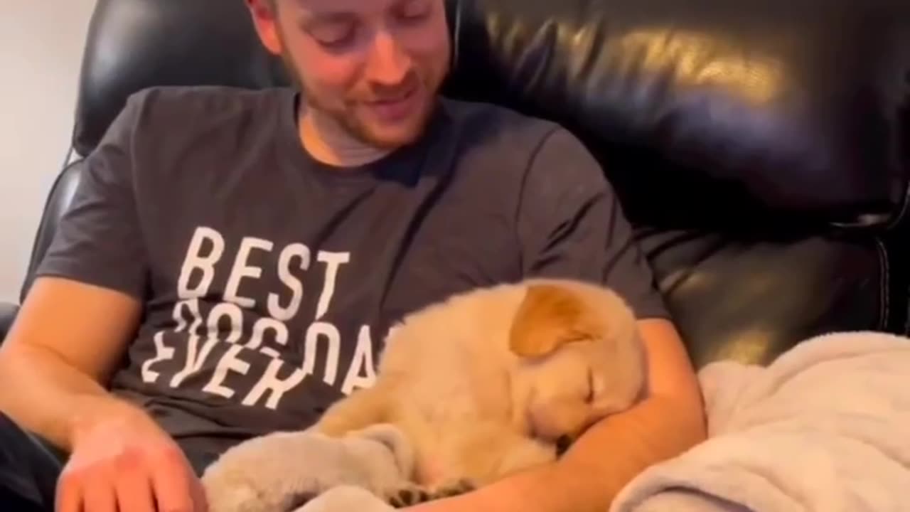 let me go to BED (Pup Style)