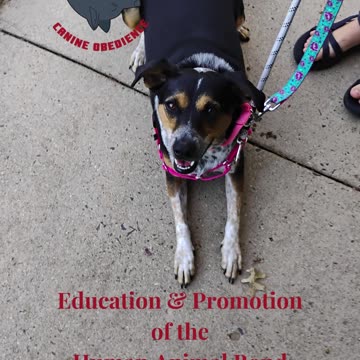 Maggie and the figure 6 game