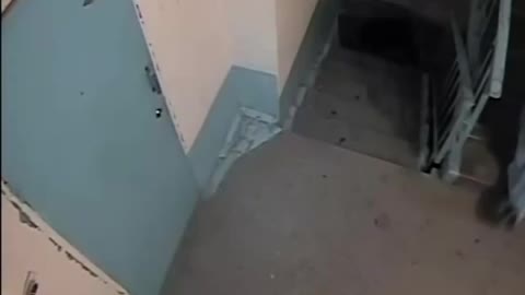 Burgulars desperately FAIL to disable Security Camera