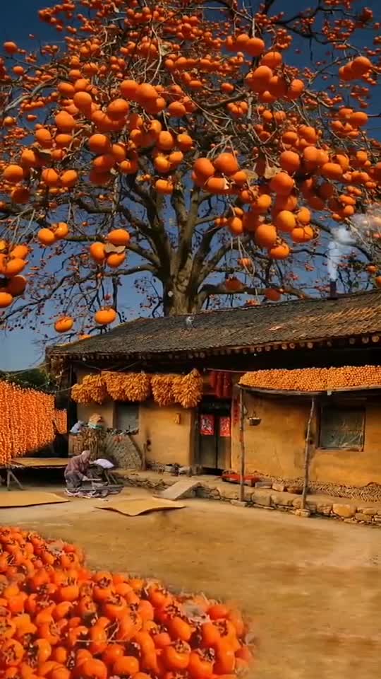 Wow! What a beautiful place.