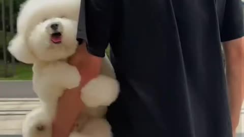 Just took a shower and don't want to step on the floor, so you'll have to carry me!