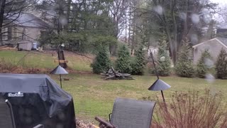 The Lighter Side of the Outdoors