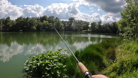 Camping at Bear Creek