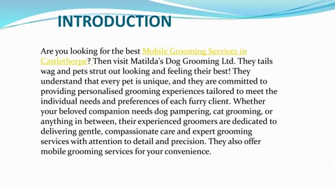Best Mobile Grooming Services in Castlethorpe