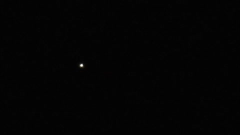 Blue Star Zoom in With Howling Coyotes