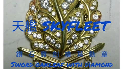 OAKLEAVES IN DIAMOND RECIPIENTS / 鑲鑽寶劍橡葉勳章得獎者