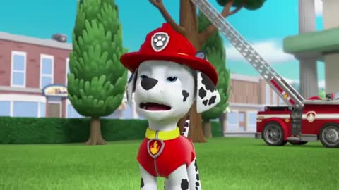 Paw Patrol | Pups Save Floating Friends | Nick Jr. UK