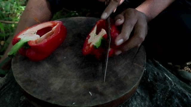 Mushroom cooking with Mixed fresh vegetables | Yummy | Eating delicious