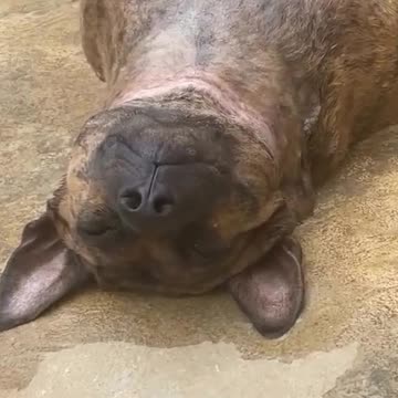 Hot weather meets low flow water hose