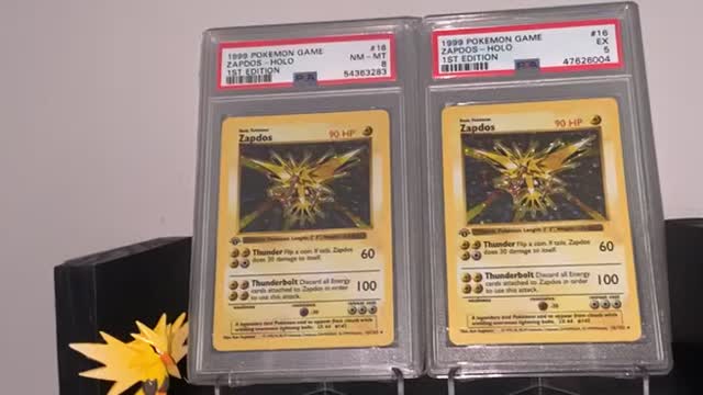 Pokemon and sports collection