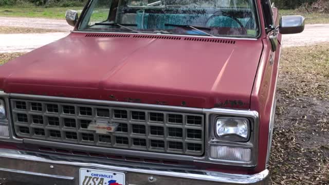 1980 Chevy Silverado SWB