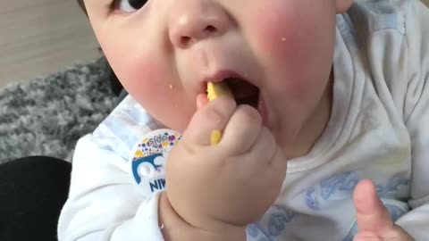 Are you eating or spitting cookies?