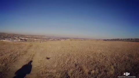 Drone flight