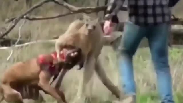 Fight Someone your own size!