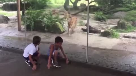 Funny Dogs, Cats and Animals Videos TRY Not to Laugh!