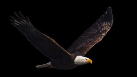 The god Of This Evil Age