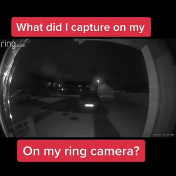 Ring Doorbell caught something!