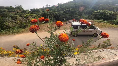 Roaming around shree antu...