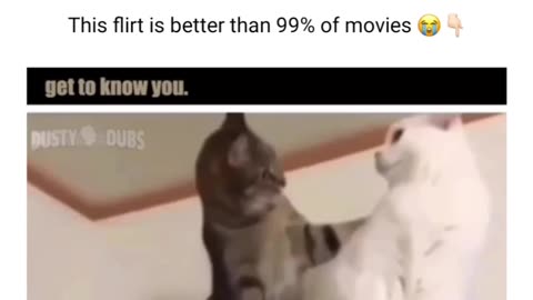 This flirt is better than 99% of movies