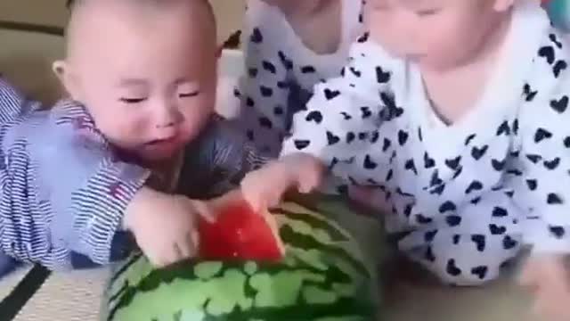 Children fighting watermelon