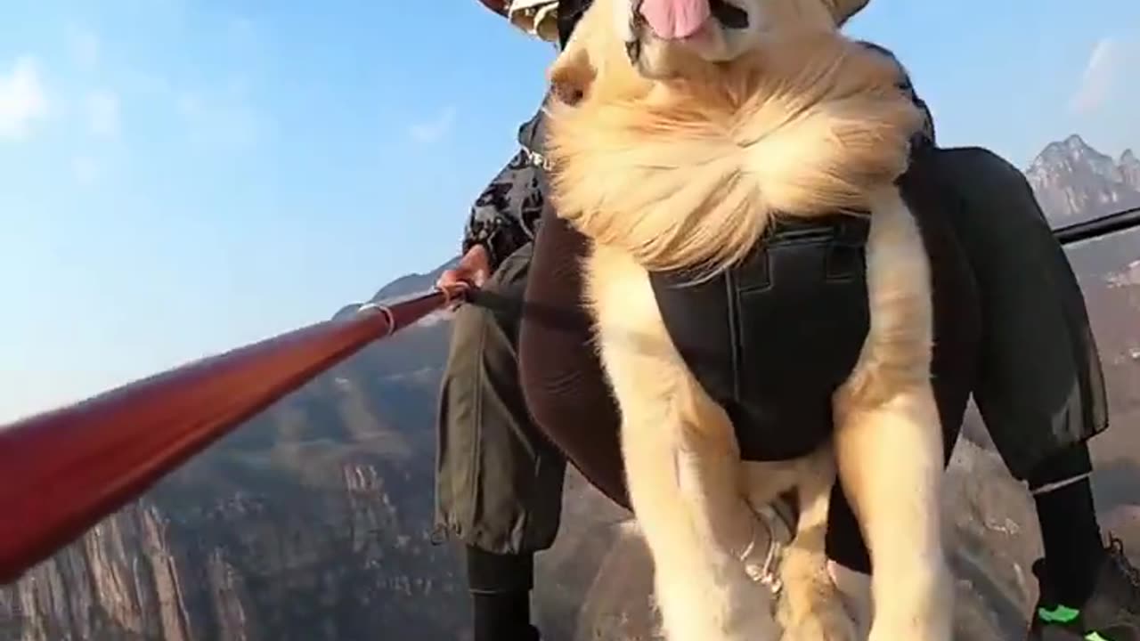 取经不骑白龙马