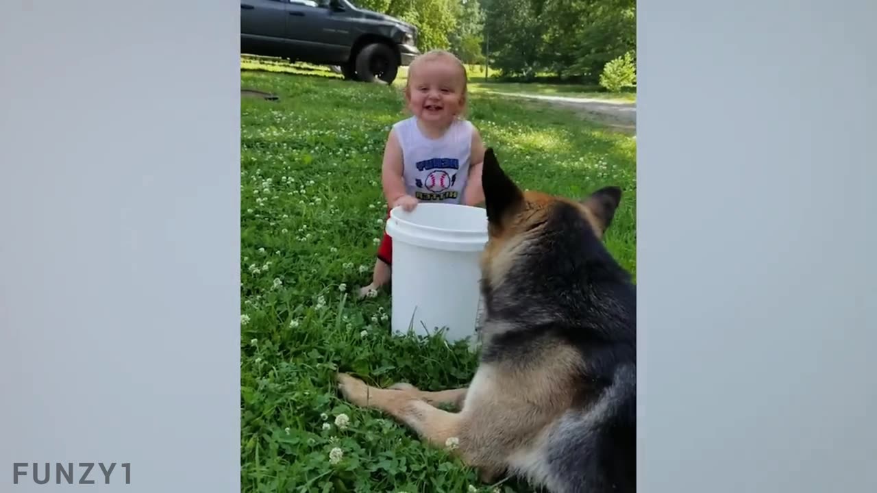 Funny Babies Playing with Dogs Compilation (Part 6)