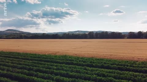 Gluten der Feind in deinem Brot