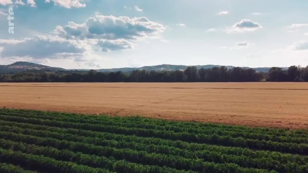 Gluten der Feind in deinem Brot