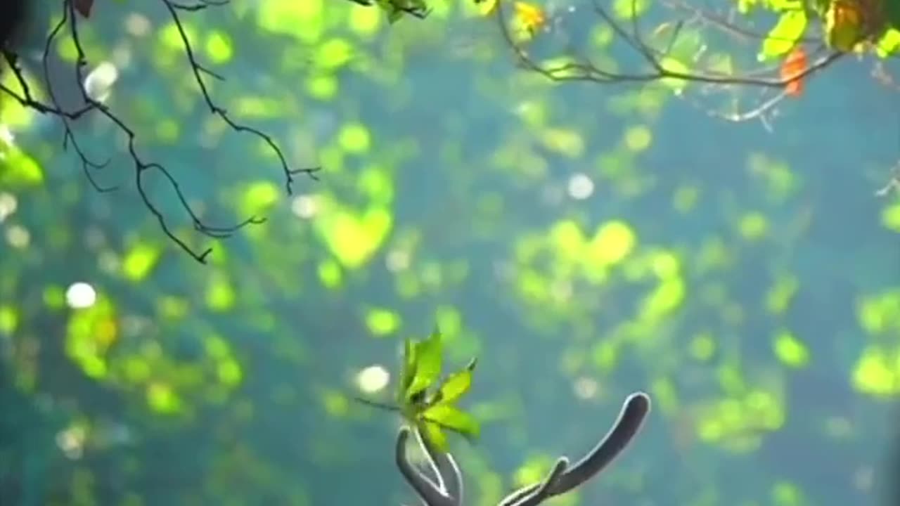 #Feel nature