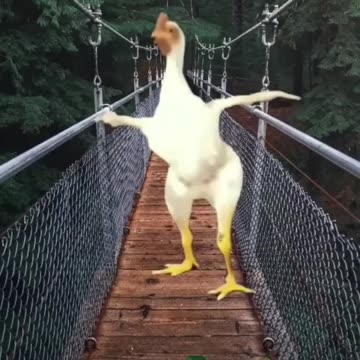 Chicken Dance “Buying Time” | Optimistic Alternative Beat / Instrumental