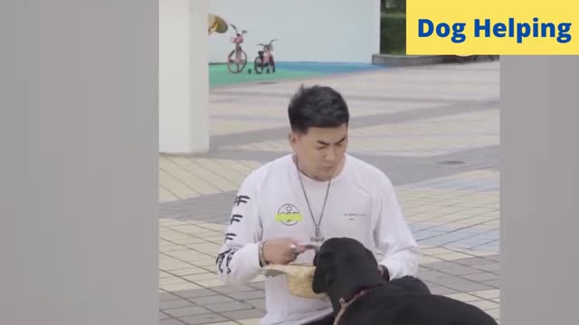 Dog Helps Smartest To People....